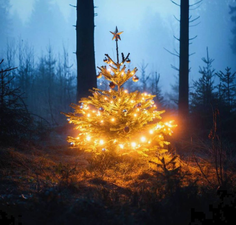 Рождество — не время года. Это чувство.