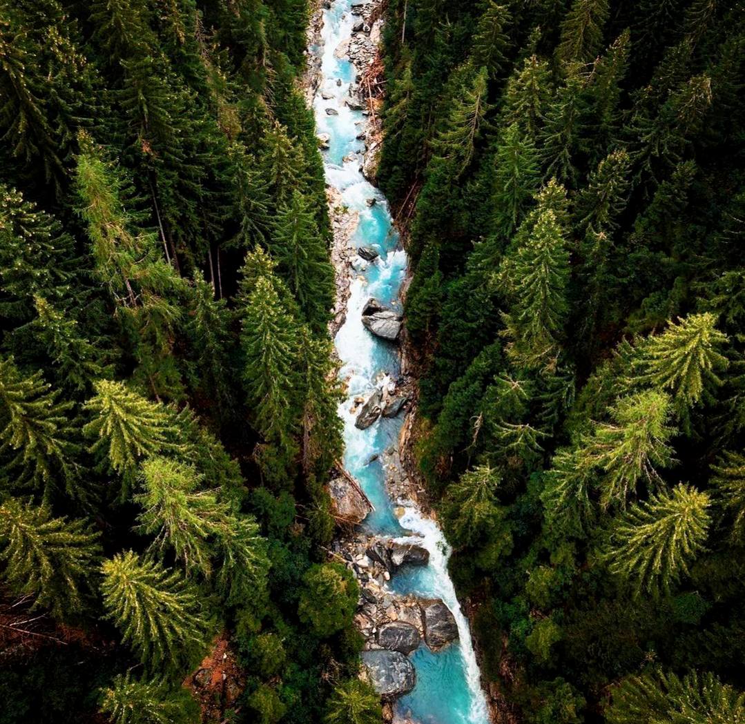 Леса, так же, как озера, моря и реки, — лучшее украшение земли, ее великолепный праздничный наряд.