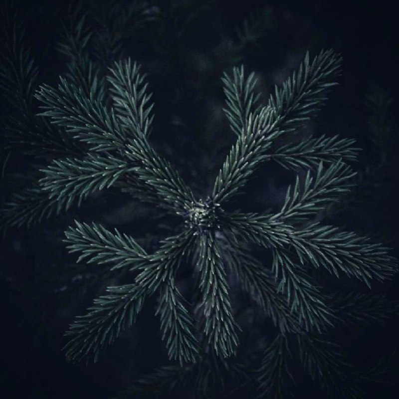 Я всегда придерживался мнения, что мелочи существеннее всего.