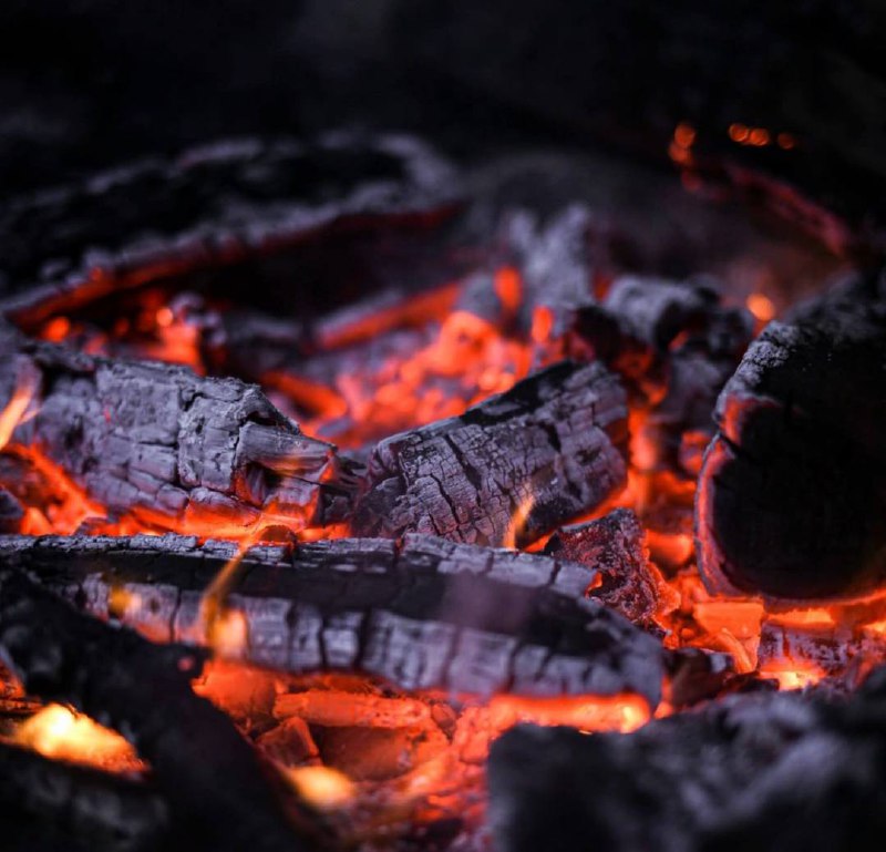 Я долго смотрел, как тлели угли костра: сначала яркий и большой, уголь понемногу становился...