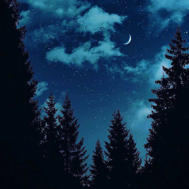 Прежде, чем лезть к звездам,