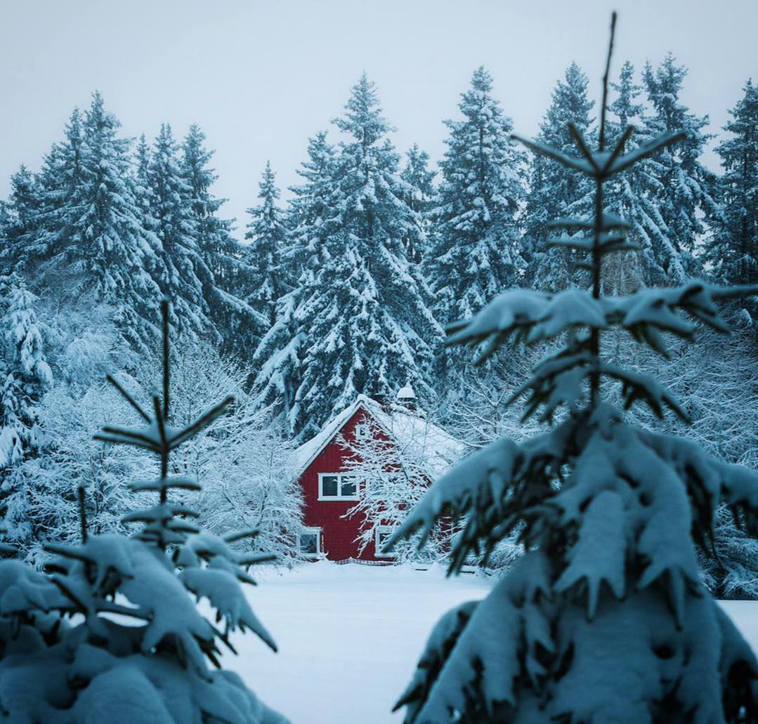 Хорошо быть хозяином своего собственного маленького мира.
