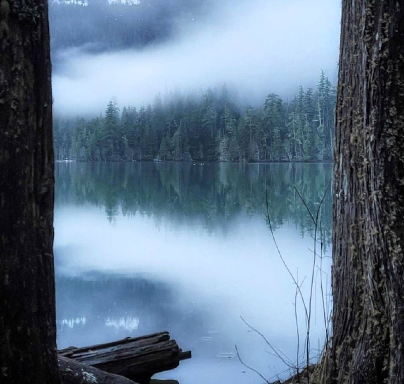 Тишина - это особое состояние мира и души. Вне тишины нельзя понять красоту