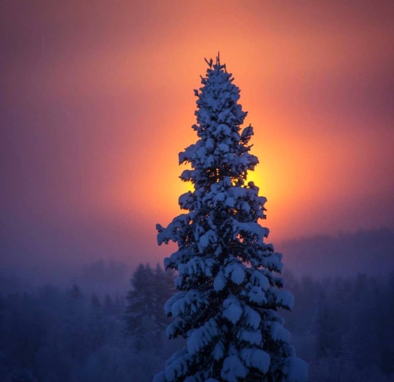 Тайна красоты не менее глубока, чем тайна жизни, да нет, глубже: красота и жизнь нераздельно...