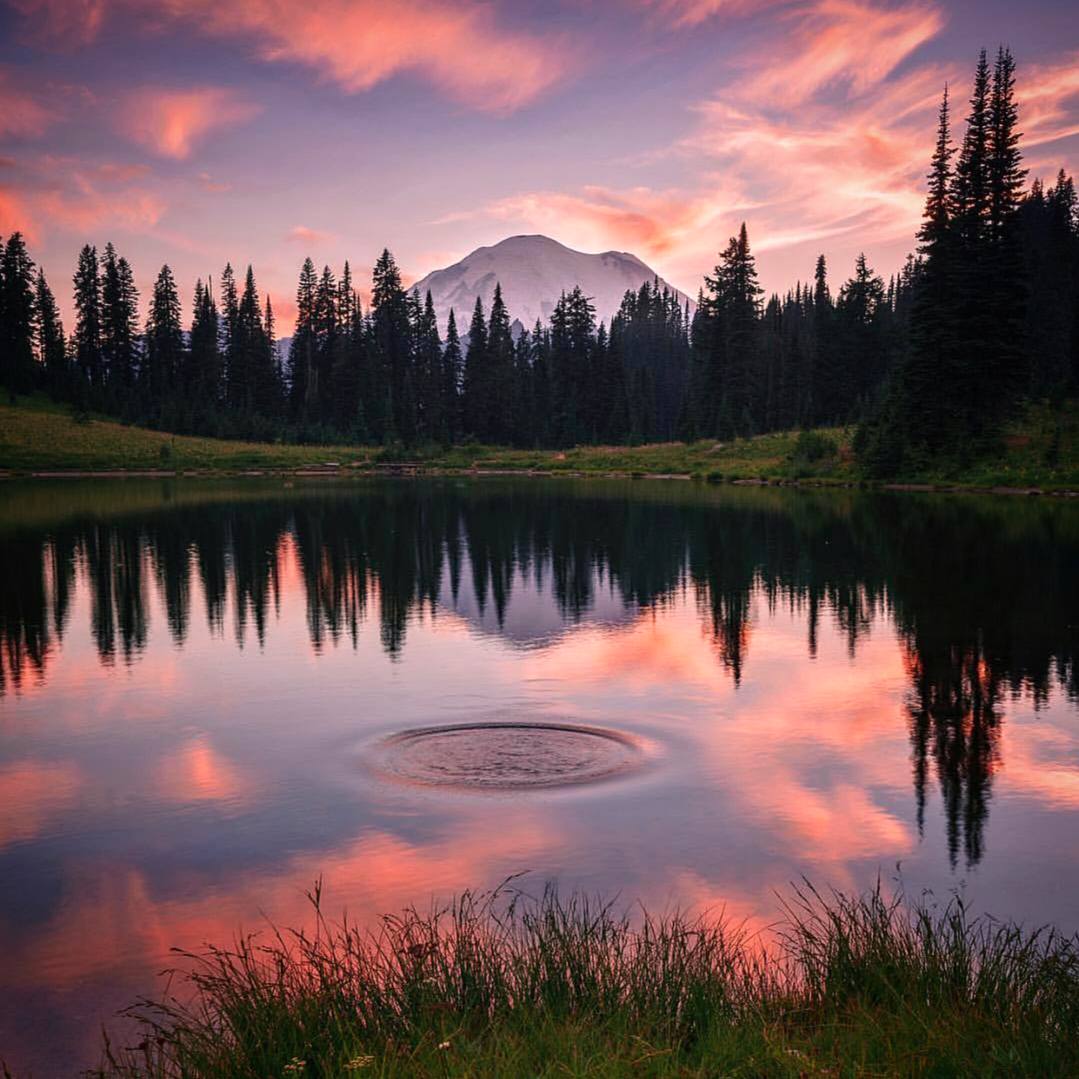 Ничто не остается без последствий. Бросьте в пруд камень — и вы уже немного изменили вселенную.