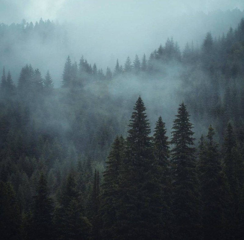 Не смотри в прошлое с тоской. Оно не вернётся. Мудро распорядись настоящим. Оно твоё