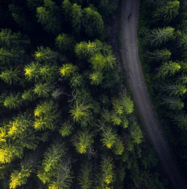 Дело не в том, как выглядит ландшафт, а в том, как мы его воспринимаем