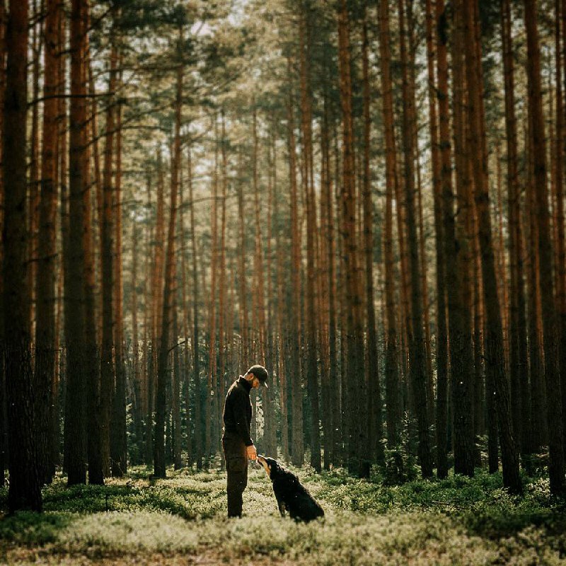 Дикая природа притягивает тех, кому надоели или опротивели люди и их дела