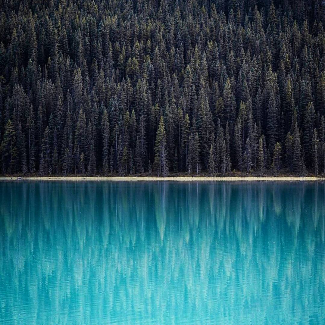 Мы были бы лучшими зеркалами в мире, если бы поменьше любовались собственным отражением.