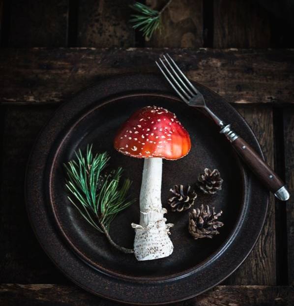 Что для одного – еда, для другого – яд.