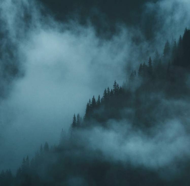 Оттого что мысли мои не облекаются в слова, чаще всего они остаются хлопьями тумана