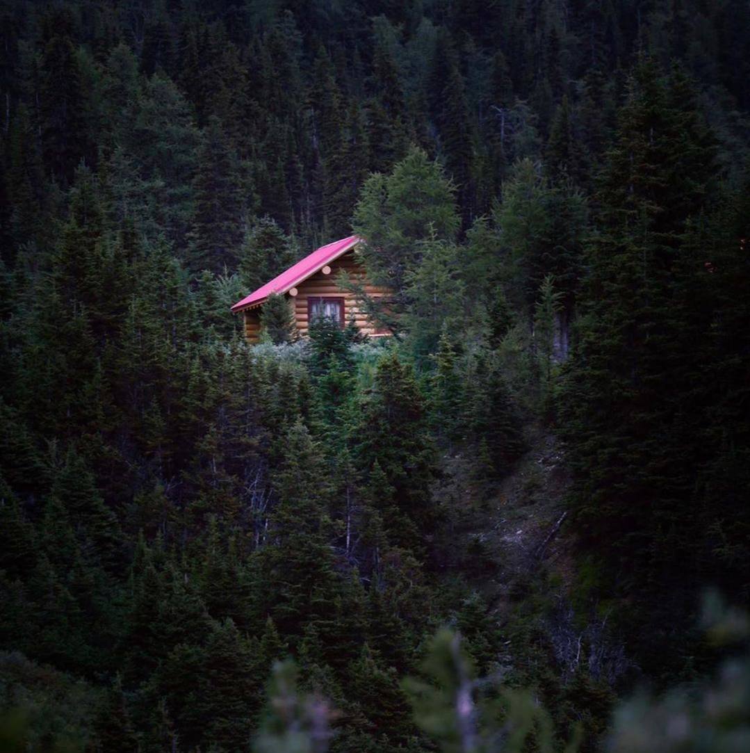 Холод, молчание и одиночество — вещи, которые завтра станут дороже золота