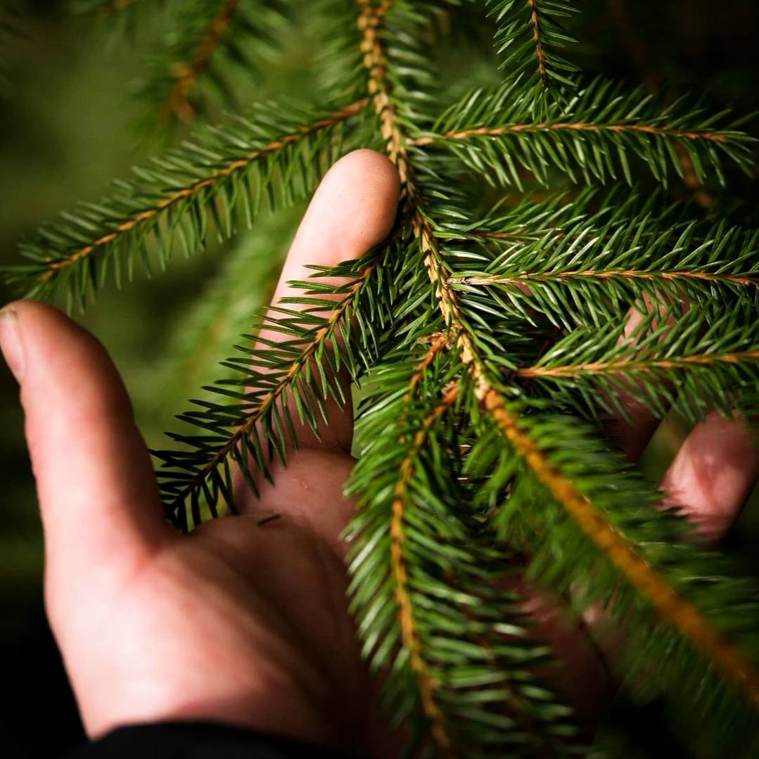 Люди не должны забывать, что на земле им отведено очень небольшое место, что они живут в окружении...