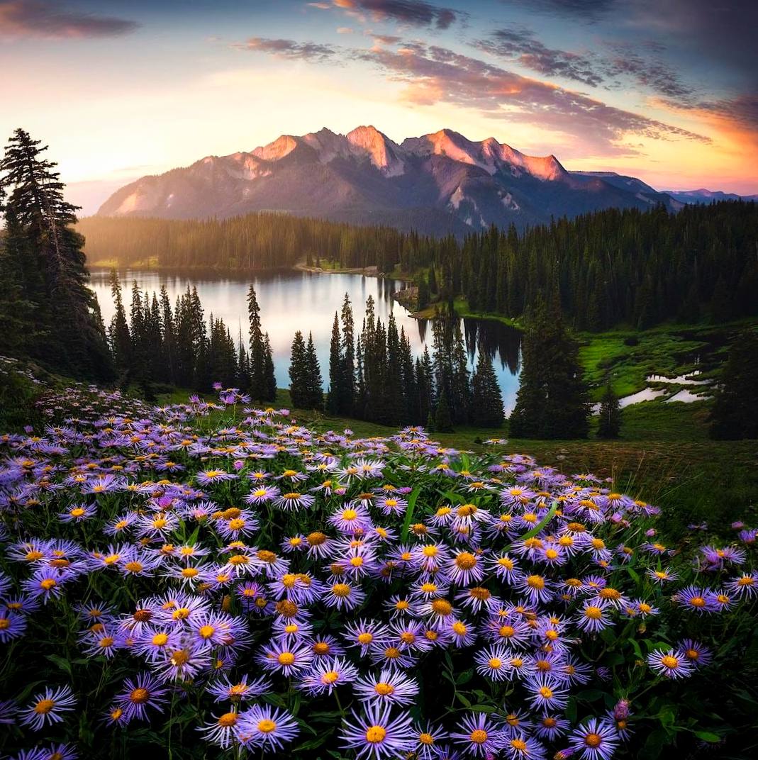 Природа! Она совершенна и вечно творит новое. Она неиссякаемый источник всего живого и реального