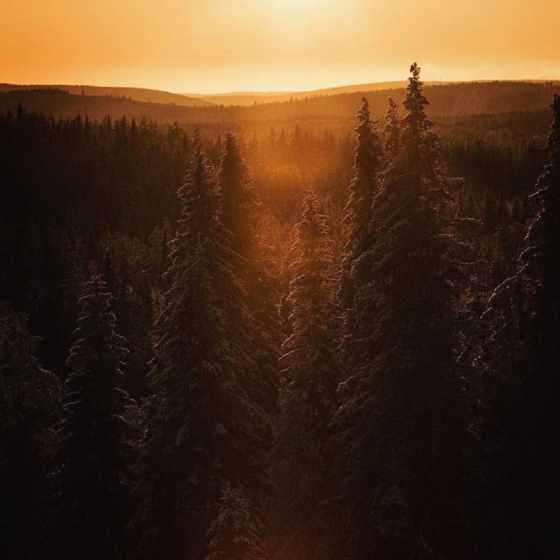 Происходит только то, что должно происходить. Всё начинается вовремя. И заканчивается тоже.