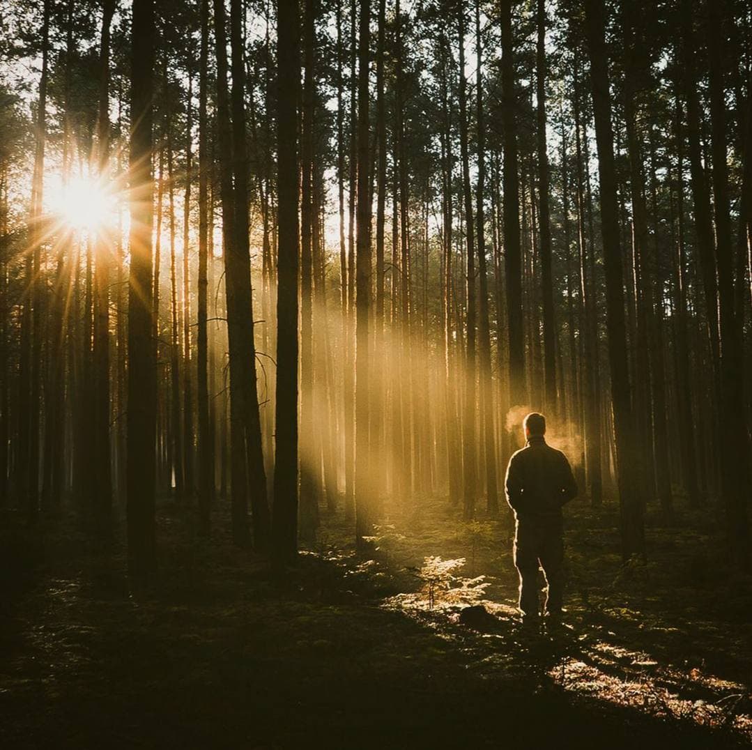 Когда ты в лесу, ты становишься частью леса. Весь, без остатка.