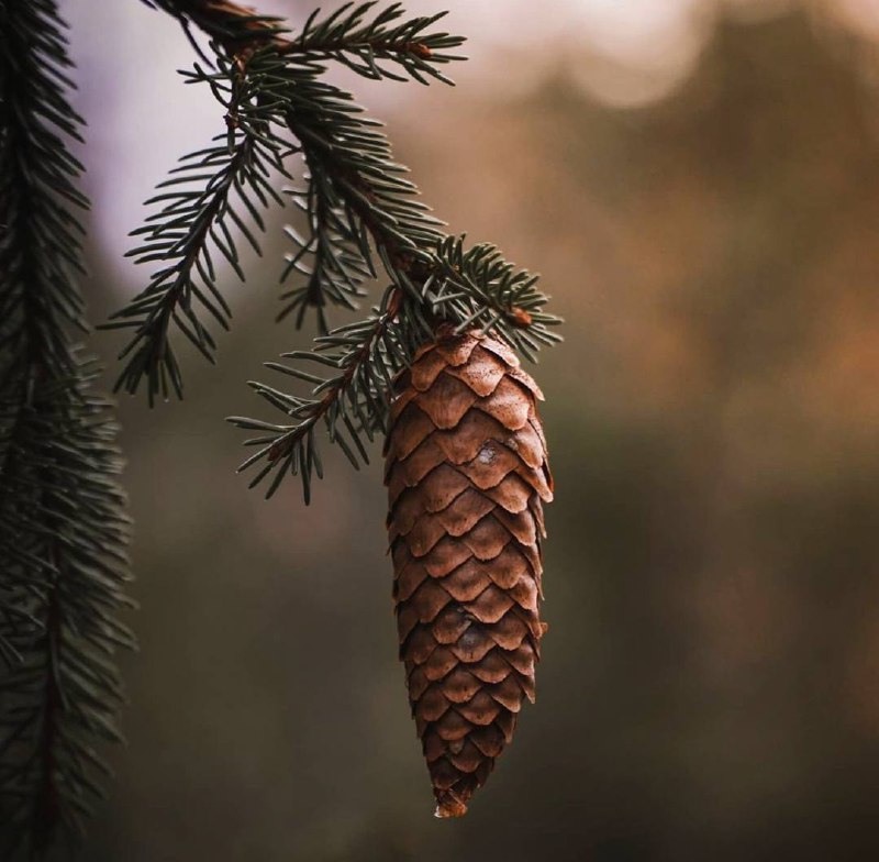 Замечайте мелочи, потому что, может быть, кто-то пытается достучаться до вас.