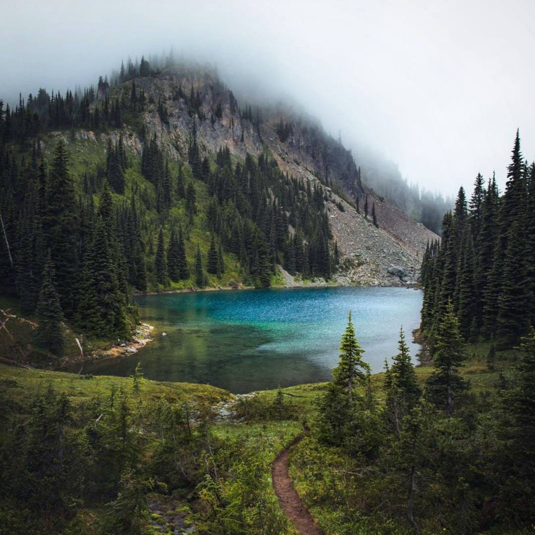 Природа... будит в нас потребность любви.