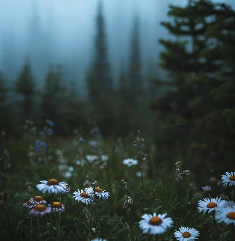 Когда выходим из бутылок своих эго и словно белки с колеса бежим из клеток своих личностей, и...