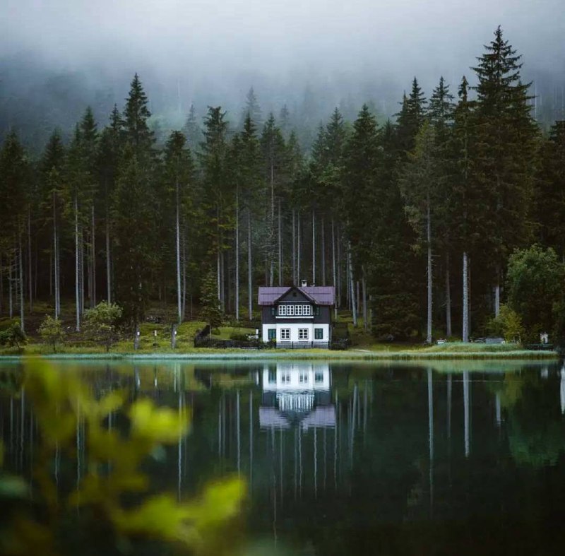 Немного здравого смысла, немного терпимости, немного чувства юмора, и можно очень уютно устроиться...