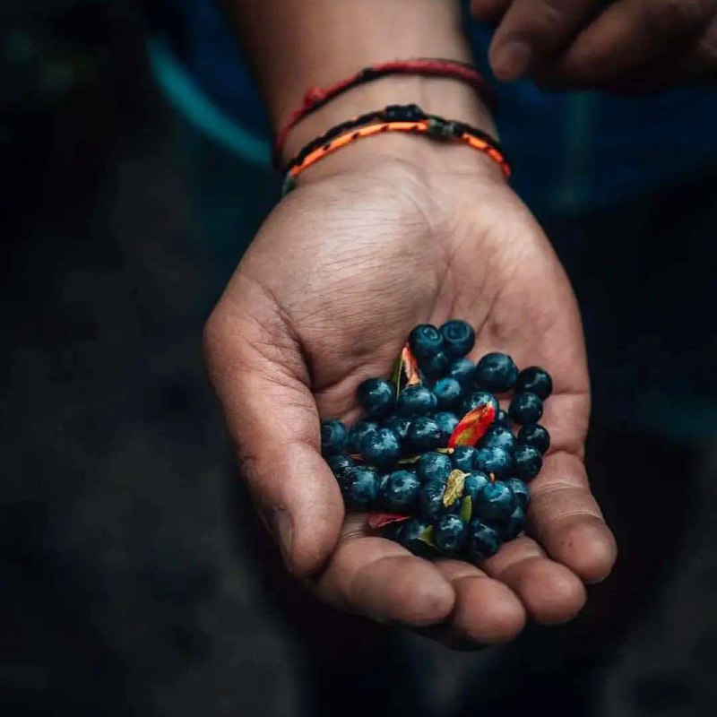 Даруемое нам природой никогда не бывает устаревшим, потому что создания природы несут в себе...