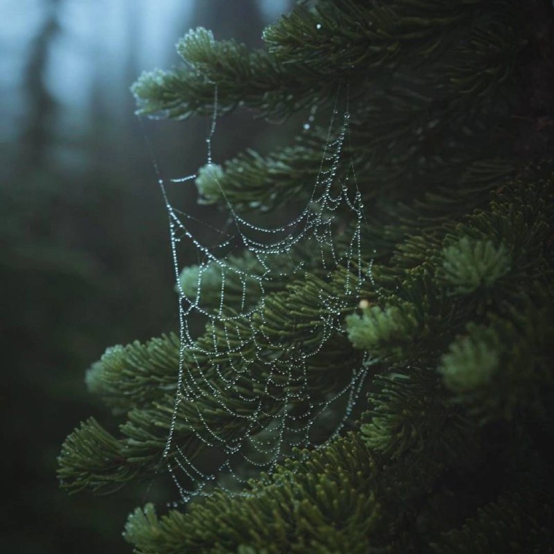 Чем больше мы познаем неизменные законы природы, тем все более невероятными становятся для нас...