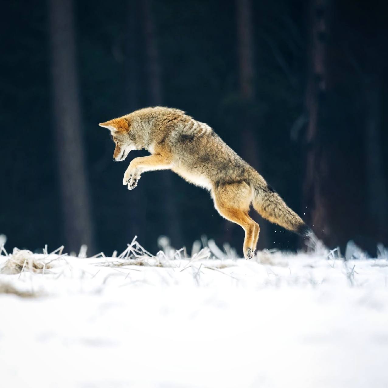 Если запастись терпением, если умеешь ждать, рано или поздно повезет и тебе
