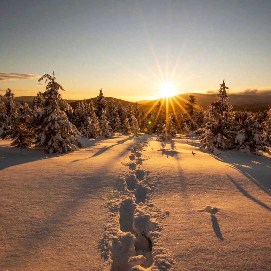 Удовольствие от жизни черпается из наших встреч с новым, а потому нет большего счастья, чем...