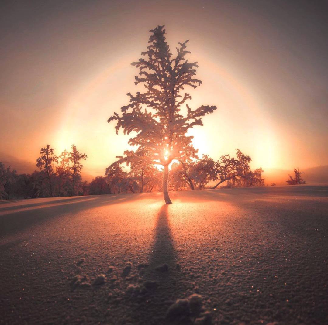 Зима — честное время года.