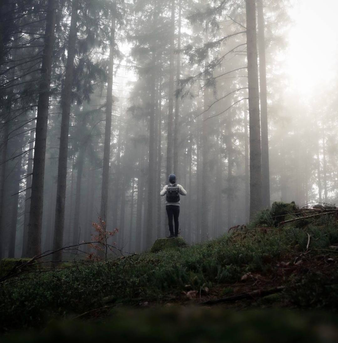 Одиночество среди природы переносится легче: оно укрепляет душу, а не унижает ее.