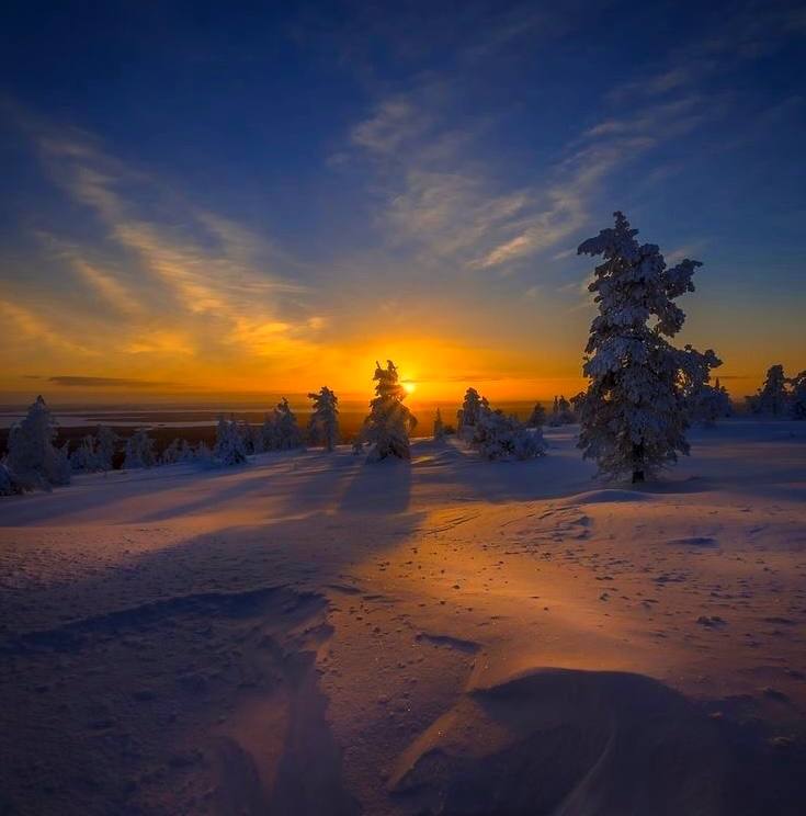 Природа не признаёт шуток; она всегда правдива, всегда серьезна, всегда строга; она всегда права;...