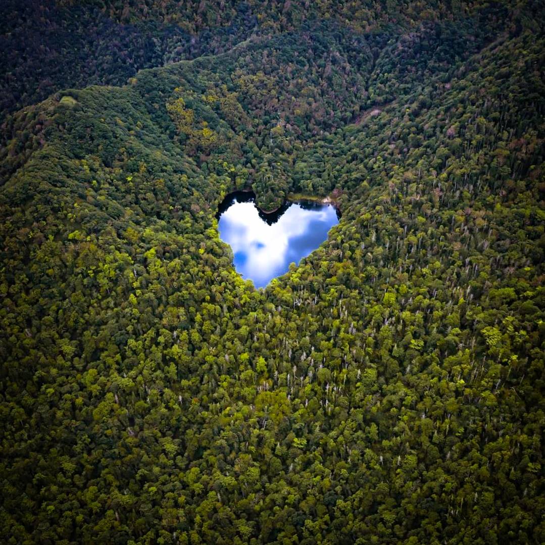 Чем больше мы познаем неизменные законы природы, тем все более невероятными становятся для нас...