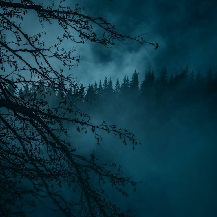 Когда выходим из бутылок своих эго и словно белки с колеса бежим из клеток своих личностей, и...