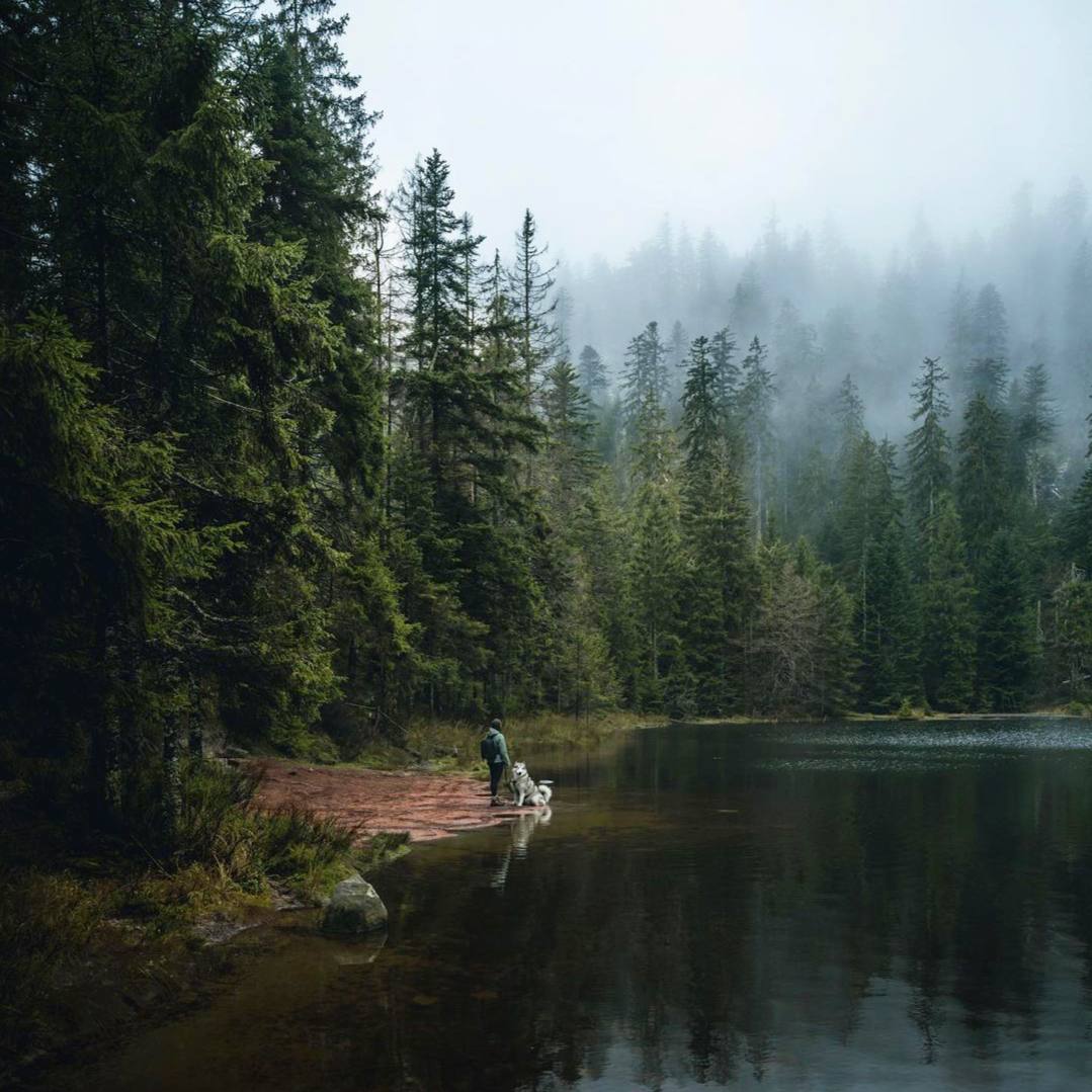 Эстетическое созерцание красоты природы предполагает активный прорыв к иному миру.