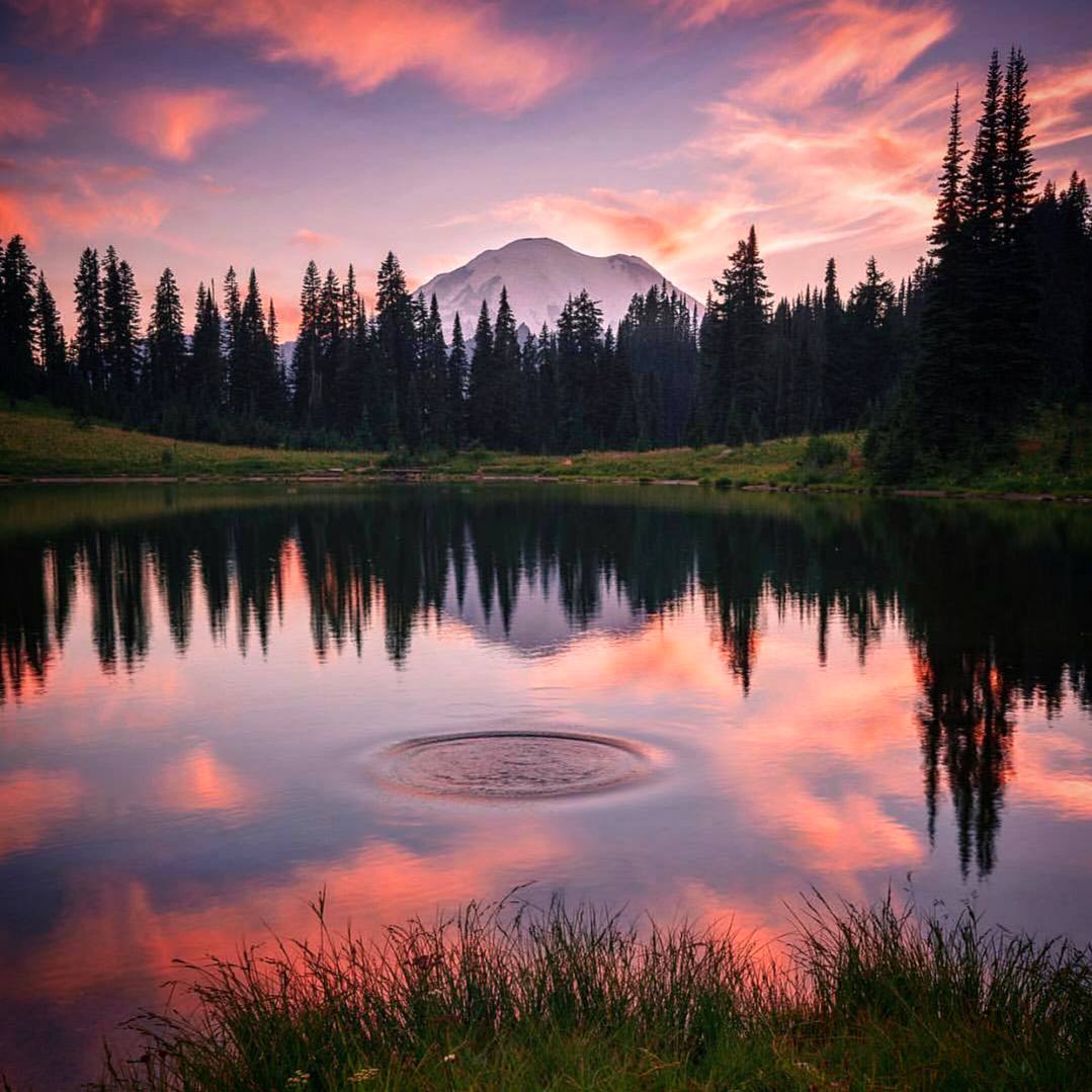 Ничто не остается без последствий. Бросьте в пруд камень — и вы уже немного изменили вселенную.