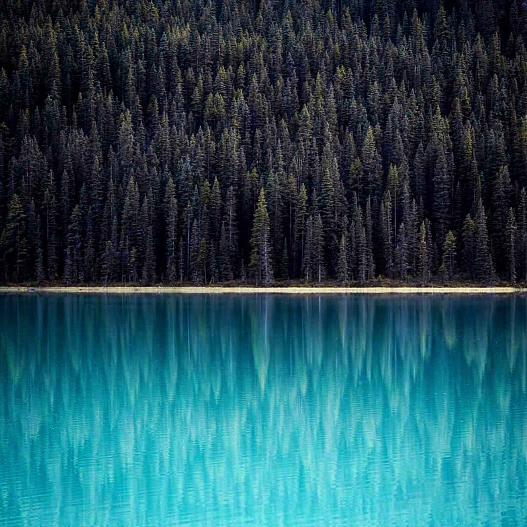 Мы были бы лучшими зеркалами в мире, если бы поменьше любовались собственным отражением.