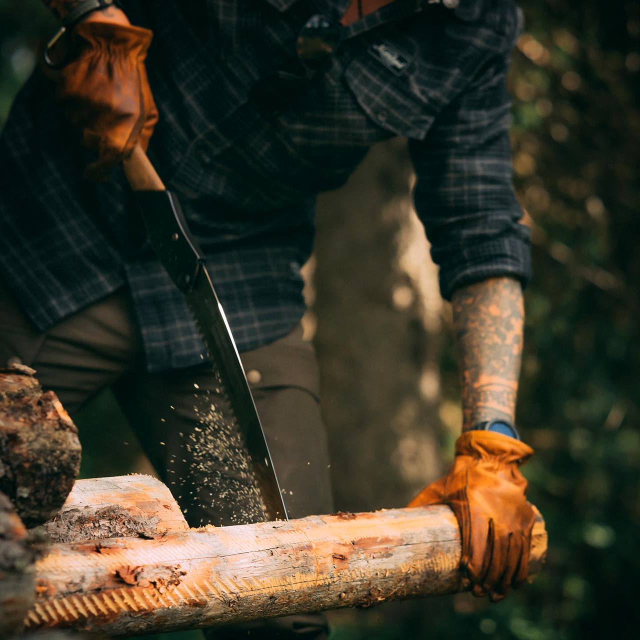 В природе все мудро продумано и устроено, всяк должен заниматься своим делом, и в этой мудрости -...