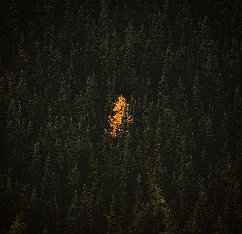 Одиночество — в толпе.