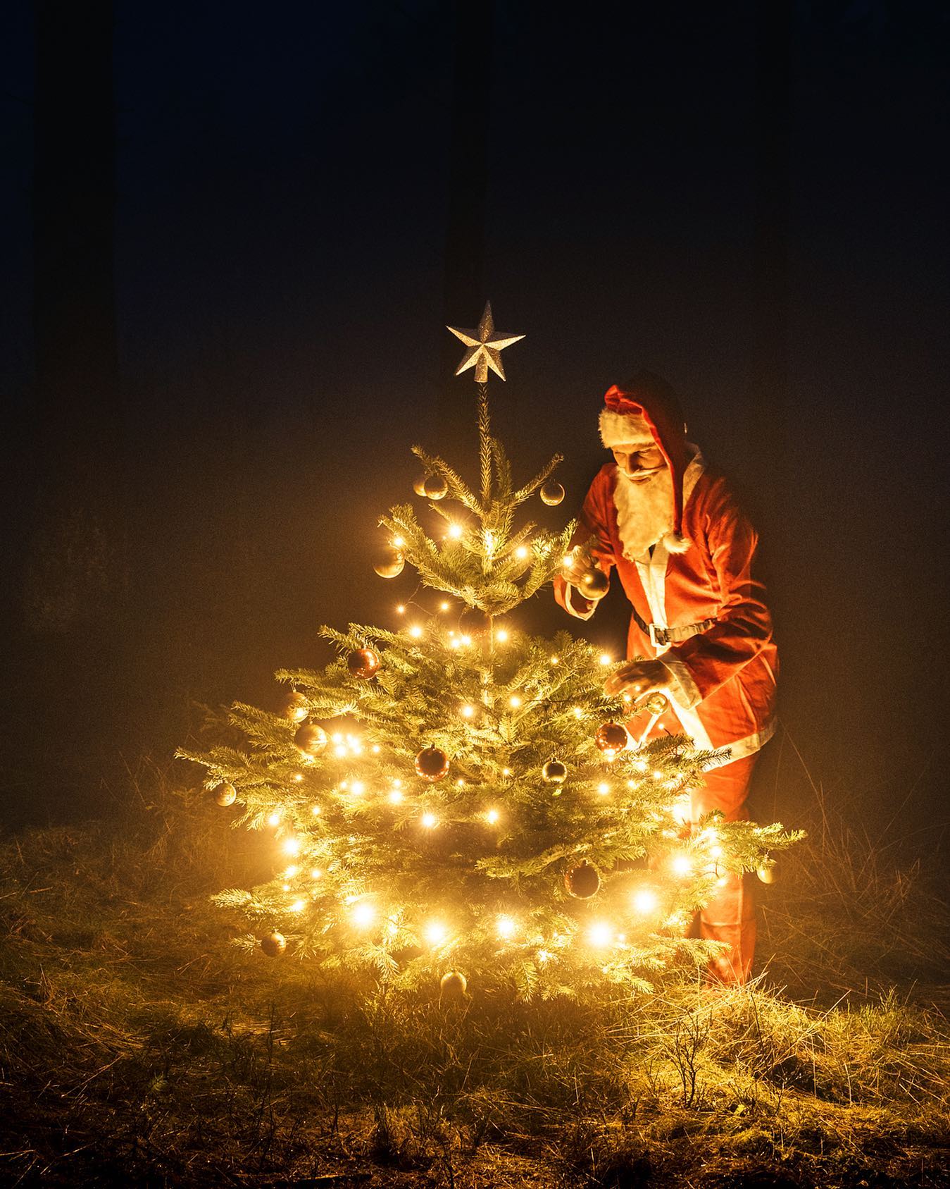 В новогоднюю ночь все желания имеют особую силу.