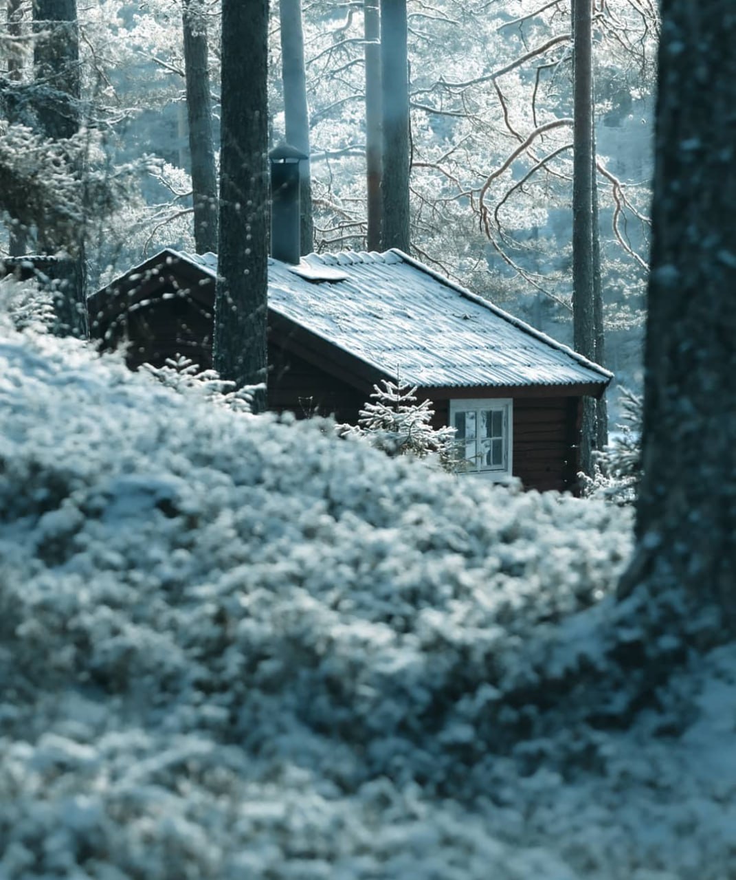 — Выбрать любую картинку, найти уединенное место, где тебя никто не побеспокоит, и созерцать...
