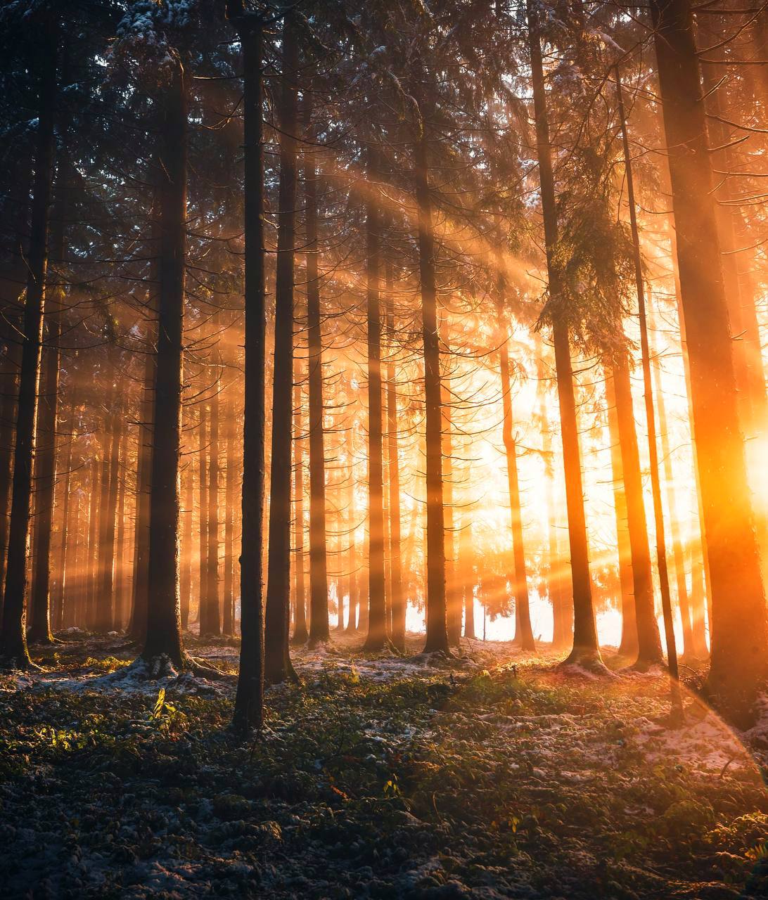 Удивительно, что может сделать один луч солнца с душой человека!