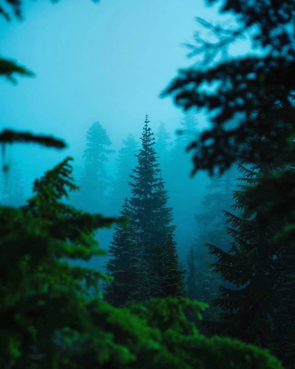 Соприкосновение с природой есть самое последнее слово всякого прогресса, науки, рассудка, здравого...