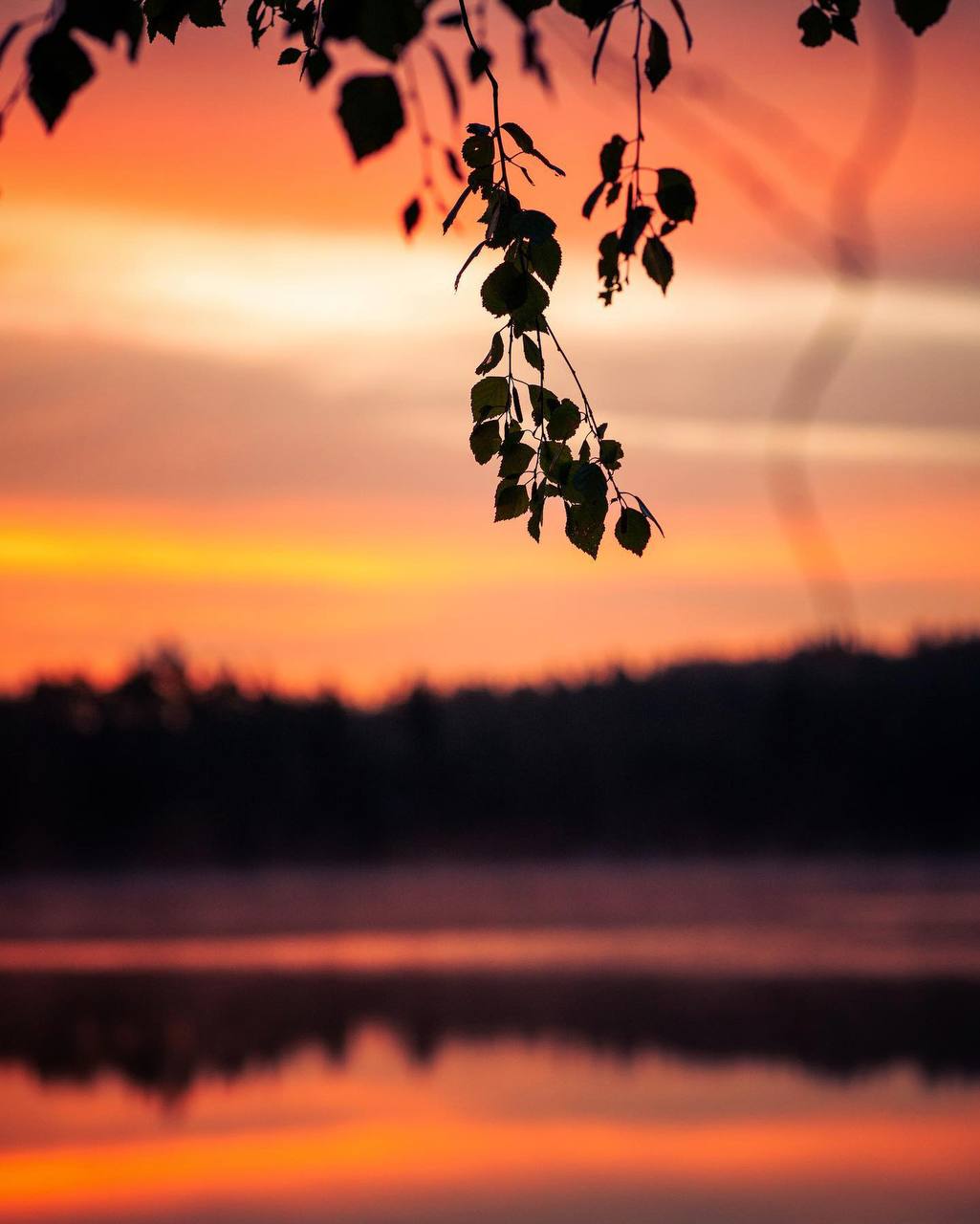 Чем глубже мы заглядываем в природу, тем больше осознаём, что она полна жизни, и тем глубже...