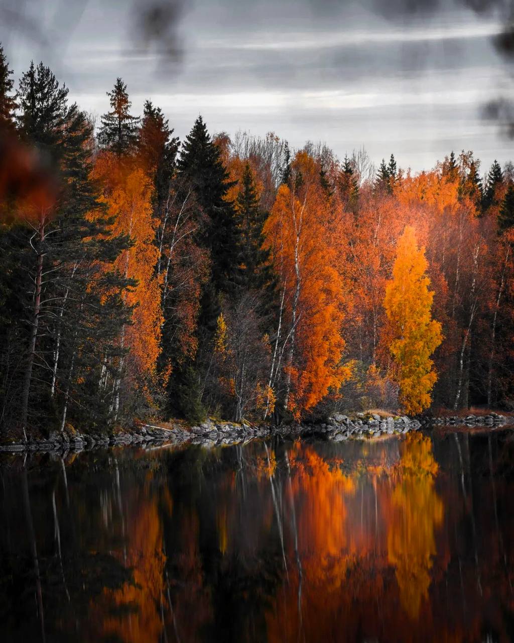 Листья, как и люди, ещё не готовы сдаться