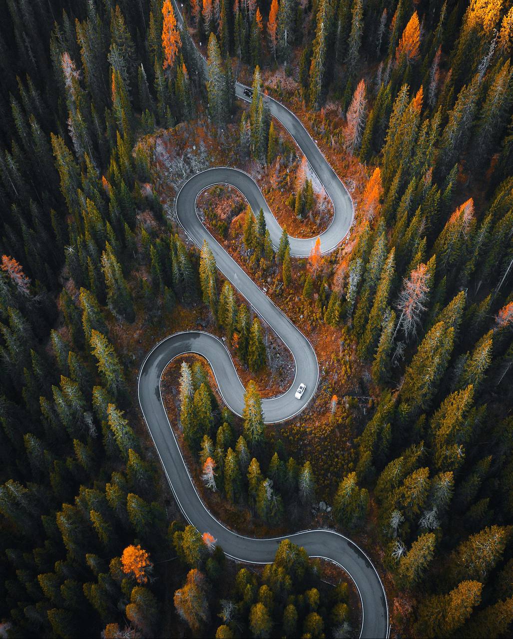 Помните, что счастье — это сама дорога, а не то, куда она приведёт.