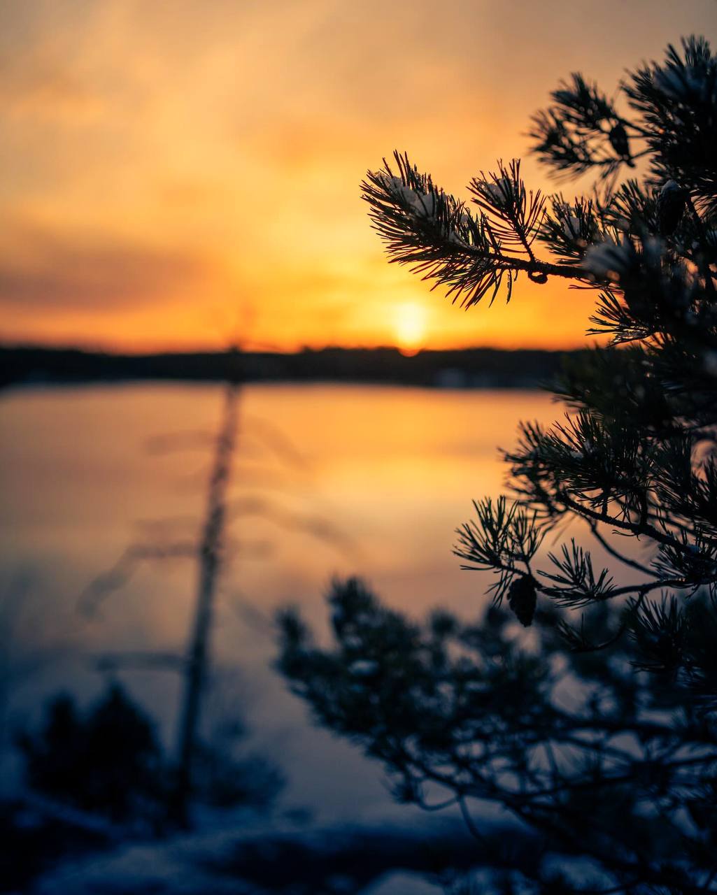 Умиление и восторг, которые мы испытываем от созерцания природы, — это воспоминание о том времени,...