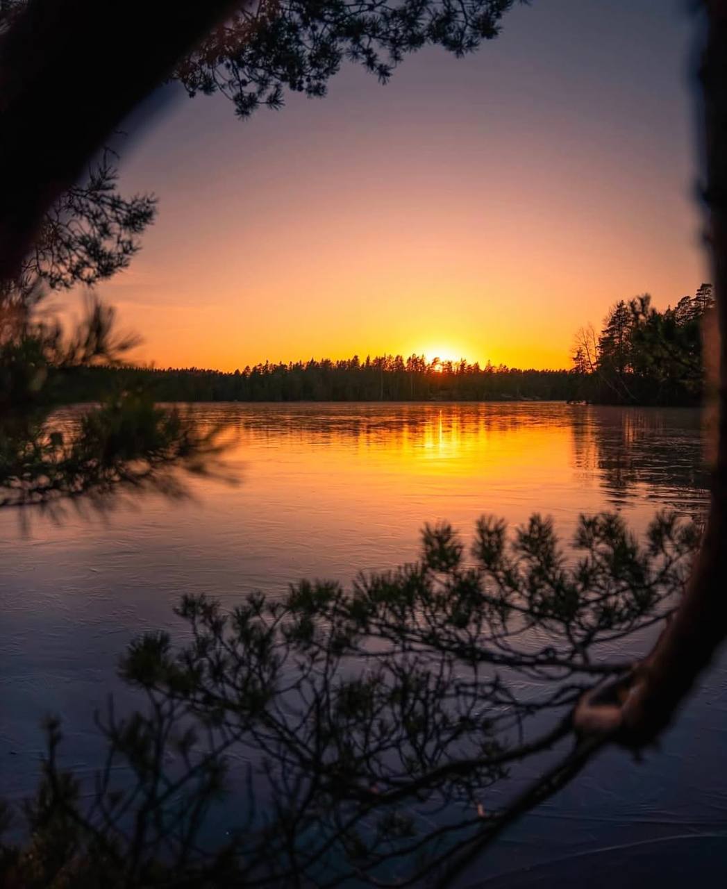 Удаляясь от условий общества и приближаясь к природе, мы невольно становимся детьми; все...