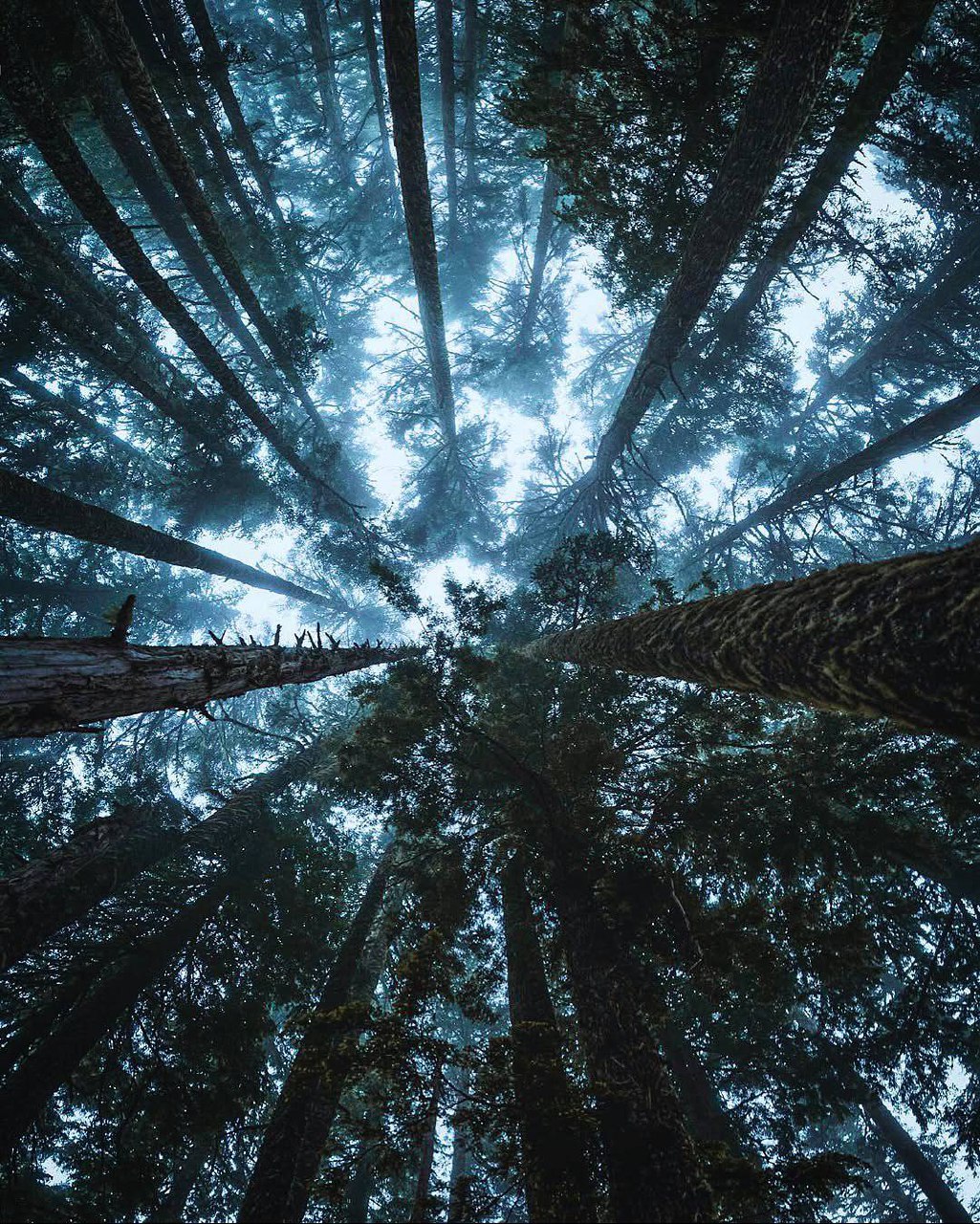 Уже весьма редко можно встретить людей, полных той силы и спокойствия, что умеют дарить лишь